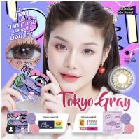 ราคา tokyo gray Dreamcolor1 (20912213151)