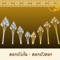 ราคา ดอกบัวเงิน บัวทอง 1 แพ็ค 6 ดอก งานคุณภาพเกรด A สีเงา สวยงาม (21397807570)