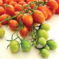 ราคา 20 เมล็ด มะเขือเทศ เมล็ดผัก สวนครัว ปลูกได้ทั้งปี Tomato Seeds สายพันธุ์ มะเขือเทศเชอร์รี่ Cherry Roma (21625168206)