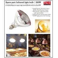 ราคา หลอดไฟอินฟาเรด หลอดไฟความร้อน หลอดไฟอุ่นอาหาร ขนาด 250 W Infrared Light Bulb (19535001507)
