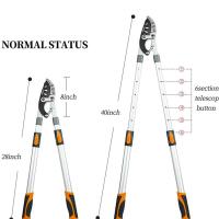 ราคา SK5 กรรไกรตัดกิ่งไม้ ยืดหดได้ ด้ามยาว ตัดกิ่งไม้สูง Cutting Branches pruning shears กรรไกรแต่งกิ่ง solo MAYILON กรรไกรตัใบมีดสำรอง ใบมีดสำหรับกรรไกรตัดกิ่งปรับระดับรุ่น (22093362085)