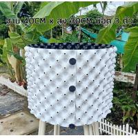 ราคา Air Pot HDPE เหนียว ทน ไม่แตก กระถางต้นไม้ กระถางแอร์พอท กระถางเพิ่มรากต้นไม้ Root Builder airpot air pod (20568310792)
