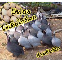 ราคา ไข่เชื้อไก่ต็อก 5 ฟองสำหรับฟัก (22118773366)