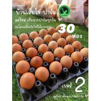 ราคา ไข่ไก่ เบอร์ 2 30ฟอง สดใหม่วันต่อวัน (22206565925)