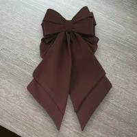 ราคา เน็ตติดผมผ้าชีฟอง สีดำ งานสวยเรียบหรู (22134987149)