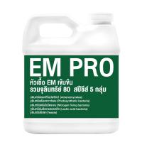 ราคา หัวเชื้ออีเอ์ม EM เข้มข้น หัวเชื้อจุลินทรีย์อีเข้มข้นเชื้อเเรง ขนาด 1000ML ขยายเชื้อต่อได้ (19326797170)