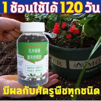 ราคา ปุ๋ยเร่งโตเร็ว เร่งกระตุ้นพืชโตเร็ว 300กรัม เร่งโตไว เร่งราก เร่งต้นใบ ปุ๋ยบำรุงต้นใบ ปุ๋ยเกล็ดทางใบ ปุ๋ยเร่งดอก (18094178612)