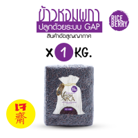 ราคา ข้าวกล้อง ไรซ์เบอรี่ต้นม่วงไรซ์เบอรี่ Rice berry GAP ต้นสีม่วง สีจะไม่ดำมาก บรรจุ 1 กก ลัง ตราหอมผกา สินค้าอัดสุญญากาศ 1 กก (346645213)