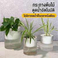ราคา กระถางต้นไม้ กระถางพลาสติก ดูดน้ำอัตโนมัติ ไม่มีการรดน้ำเป็นเวลาหนึ่งเดือน กระถาง กระถางแคตตัส กระถางปลูกผัก กระถางต้นไม้พลาสติก กระถางปลูกต้นไม้ (22303855140)