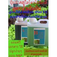 ราคา โปรโมชั่น ปุ๋ย AB ชุด A 1ลิตร B 1ลิตร สารลาย AB สำหรับปลูกผักไฮโดรโปนิกส์ ลดกระหน่ำ ปุ๋ยยูเรีย ปุ๋ยน้ำทางใบ ปุ๋ยเร่งดอกผล ปุ๋ยแคดตัส (8007187143)