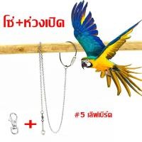 ราคา โซ่คล้องขานก โซ่นก ห่วงขานก ห่วงเปิดขานก ยาว 80 cm เลิฟเบร์ด นกกรงหัวจุก นกเอี้ยง (21092908279)