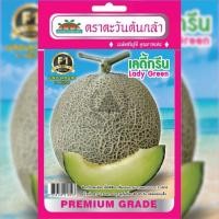 ราคา เมล็ดพันธุ์ เมล่อนลูกผสม เลดี้กรีน ตราตะวันต้นกล้า (19540077901)