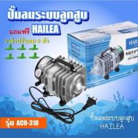 ราคา HAILEA ปั้มน้ำออกซิเจน ปั้มลม ลูกสูบ ปั้มลมแบตเตอรี่ 12 V (22225967889)