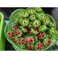 ราคา โปรยทานแก้วมังกรกับแตงโมครึ่งลูก 50ชิ้น99บาท ตัวเปล่าไม่มีเหรียญ (8783442650)