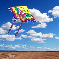 ราคา Colorful Kite Long Tail Nylon Outdoor Kites Flying Toys for Children Kids Kite Surf with 50M Kite Line High Quality (22214050303)
