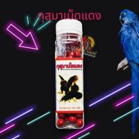 ราคา กุสุมา เม็ดแดง สำหรับเลี้ยงไก่ชนโดยเฉพาะ กระปุกเล็กหรือใหญ่เลือกเลย (21351357989)