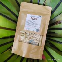 ราคา เม็ดมามุ่ย ขนาด 50 100 แคป 1เม็ด 500 มก สมุนไพรแท้ 100 ไม่ผสม ออร์แกนิค สินค้าคุณภาพดีผลิตจากจากวิสาหกิจชุมชน เชียงราย (20044945816)