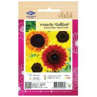 ราคา ทานตะวันบิวตี้ มิกซ์ CT FW 003 เมล็ดพันธุ์ดอกไม้ เจียไต๋ เมล็ดพันธุ์ ดอกไม้ เมล็ดดอกไม้ ตราเครื่องบิน (20057989828)