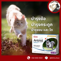 ราคา ถูกสุด Antinol Cat ช่วยบำรุงข้อ กระดูก ขน ผิวหนัง และไต 30 เม็ด 1 กล่อง 60 เม็ด สำหรับแมว (21512187490)