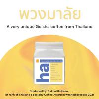 ราคา Hai Special Top List Edition กาแฟ Geisha คั่วอ่อน พวงมาลัย Trakool Mae Ton Luang Chiangmai Thailand Geisha Wash (22313694816)