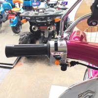 ราคา สวิทช์แฮนด์ซ้าย ขวา ริวก้า คลาสสิค Ryuka Classic (17425042792)