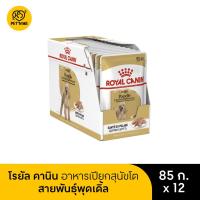 ราคา Royal Canin Poodle Adult Pouch Loaf โรยัล คานิน อาหารเปียกสุนัขโต พันธุ์พุดเดิ้ล โลฟเนื้อละเอียด 85 g x 12 ซอง (21418891037)