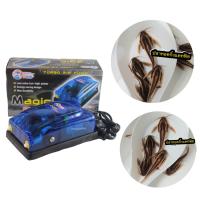 ราคา ปั้มออกซิเจนตู้ปลา ปลาทอคกิ้งแคทฟิช size 1 5 2 มีประกันคะ (21785120171)