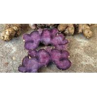 ราคา กระชายดำสด 1กิโลกรัม กระชายชายดำสดแท้ (20885012761)