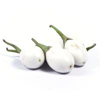 ราคา 100 เมล็ด มะเขือ เมล็ดผัก ผักปลอดสารพิษ ผักออแกนิค ผักสวนครัว ปลูกได้ทุกฤดู Eggplant Seeds สายพันธุ์ มะเขือไข่เต่า (21643059763)