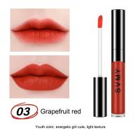 ราคา Extraction Lameila lip Glaze Gold Edition ลิปกลอสเนื้อกำมะหยี่ ติดทนนาน ปิดปากตกร่องได้เนี๊ยบ เรียบเนียน กันน้ำ ลิปสติก ลิปซอฟท์แมท (22322450893)