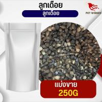 ราคา ลูกเดือย Thai millet อาหารนก กระต่าย กระรอก ชูก้า และสัตว์ฟันแทะ แบ่งขาย 500G 1KG (19768832028)