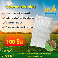 ราคา ถาดเพาะกล้า แพ็ค 10 700 ชิ้น 434 หลุม เกรดA ถาดนาโยน ถาดเพาะกล้า ถาดเพาะต้นข้าว ถาดเพาะนาโยน (22318750657)