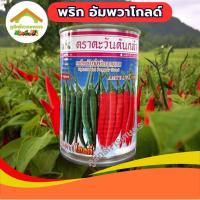 ราคา เมล็ดพันธุ์พริกขี้หนู อัมพวาโกลด์ ตราตะวันต้นกล้า 50กรัม F1 (22185673055)