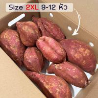 ราคา ถูกที่สุด ยกลัง5 กิโลกรัม มันหวานญี่ปุ่นสายพันธุ์ Silk sweet ปลูกไทย เนื้อเหลือง หอมหวาน อร่อย สินค้าเคลมได้ (22335021212)