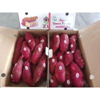 ราคา มันหวานญี่ปุ่น ตรา ZL Sweet Potato ตรา LQ กล่องสีแดง 5 กิโลกรัม มันปลูกที่เวียดนาม (22054753491)