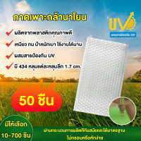 ราคา ถาดเพาะกล้า แพ็ค 10 700 ชิ้น 434 หลุม เกรดA ถาดนาโยน ถาดเพาะกล้า ถาดเพาะต้นข้าว ถาดเพาะนาโยน (22318750656)