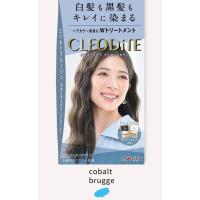 ราคา Emulsion ปิดผมขาวสีแฟชั่น CLEODITE จาก Dariya พร้อมส่วนผสมบำรุง ไม่ทำให้ผมเสีย ยาย้อมผมจากญี่ปุ่น ย้อมสีผมสวย สีผมติดชัด (21788675440)
