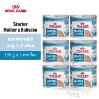 ราคา Royal Canin Starter Mother Babydog Mousse สำหรับแม่สุนัขตั้งท้อง ให้นม และลูกสุนัข หย่านม 2เดือน ขนาด195กรัม x 6 กระป๋อง (19021749491)