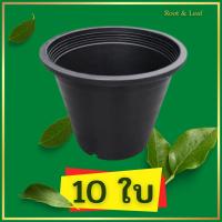 ราคา กระถางพลาสติกสีดำ ขนาด 10 นิ้ว กระถางต้นไม้ กระถางปลูกต้นไม้ กระถางถูก พลาสติกอย่างดี แข็งแรง ทนทาน ทนแดด ทนฝน ไม่กรอบง่าย พร้อมส่ง (16266600440)