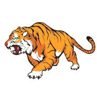 ราคา Creative Tiger สติ๊กเกอร์รถ 3D Eye Catching Design สําหรับรถประตูและ Bonnets ส่วนบุคคลแผ่นตกแต่งสําหรับรถจักรยานยนต์ (21339934703)