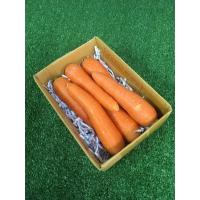 ราคา สดจากสวน แครอท นอก ออสเตรเลีย Organic มีใบรับรองปลอดสาร คั้นน้ำอร่อย แครอทนำเข้า แครอทนอก แครอทหวาน Carrot ราคาถูก ที่สุด ราคาส่ง (21371408080)