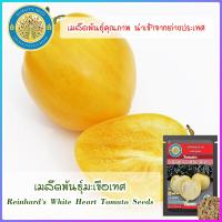 ราคา เมล็ดพันธุ์มะเขือเทศ Reinhards White Heart Tomato Seeds (16596988099)
