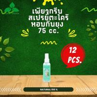 ราคา Pure Green เพียวกรีน สเปรย์กันยุงตะไคร้หอม ขนาด 75 cc บรรจุ 12 ขวด (563426552)