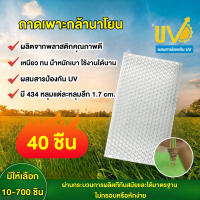 ราคา ถาดเพาะกล้า แพ็ค 10 700 ชิ้น 434 หลุม เกรดA ถาดนาโยน ถาดเพาะกล้า ถาดเพาะต้นข้าว ถาดเพาะนาโยน (22318750655)