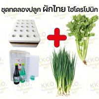 ราคา ชุดปลูก ชุดปลูกผักไทยและผักสลัด ชุดปลูกผักไฮโดร และอุปกรณ์ยกชุด เลือกเมล็ดผักเองได้ (22180070440)