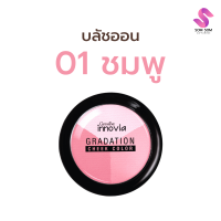 ราคา บลัชออนเนื้อละเอียด สำหรับปัดแก้มให้ดูสวยเปล่งปลั่ง มีมิติ กิฟฟารีน อินโนเวีย เกรเดชั่น ชีค คัลเลอร์ (21785940556)