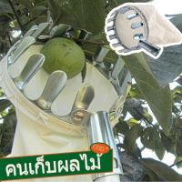 ราคา suisui COD ตระกร้อสอยผลไม้ ที่เก็บผลไม้ ที่สอยผลไม้ สอยมะม่วง (21565073627)