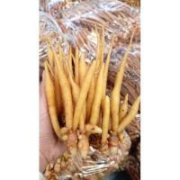 ราคา สดจากไร่ กระชายหัว กระชายขาว กระชายสด ราคาถูก ราคาส่ง (21029505208)