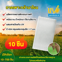 ราคา ถาดเพาะกล้า แพ็ค 10 700 ชิ้น 434 หลุม เกรดA ถาดนาโยน ถาดเพาะกล้า ถาดเพาะต้นข้าว ถาดเพาะนาโยน (22318750652)