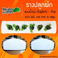ราคา รางปลูกผักไฮโดรโปนิกส์แบบน้ำนิ่ง ยาว 43 เซน 6 ช่องปลูก (21609981205)